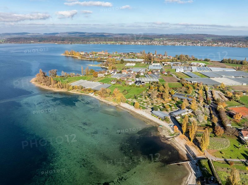 Aerial view of the southwestern part of the island of Reichenau with autumn vegetation, Lake Constance, Constance district, Baden-Württemberg, Germany, Europe