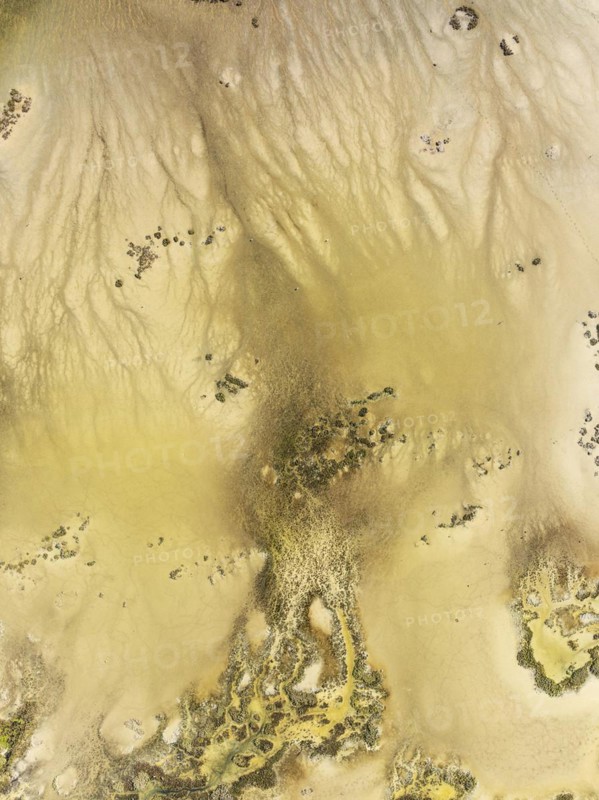 Marshland at low tide. Nature Reserve La Breña y Marismas del Barbate. Aerial view. Drone shot. Cádiz province, Andalusia, Spain, Europe