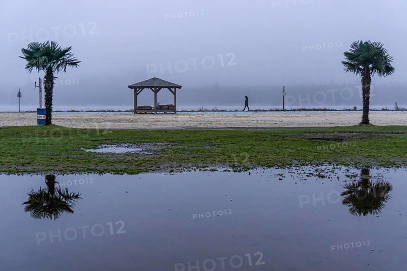 The Seaside Beach, at the Lake Baldeney in Essen, dull, very foggy January day, palm trees are reflected in a large puddle of rainwater, the lake visually sinks into the foggy weather North Rhine-Westphalia, Germany, Europe