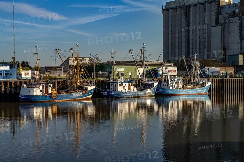 Cutter in the harbour in Husum, Nordfriesland district, Schleswig-Holstein, Germany, Europe