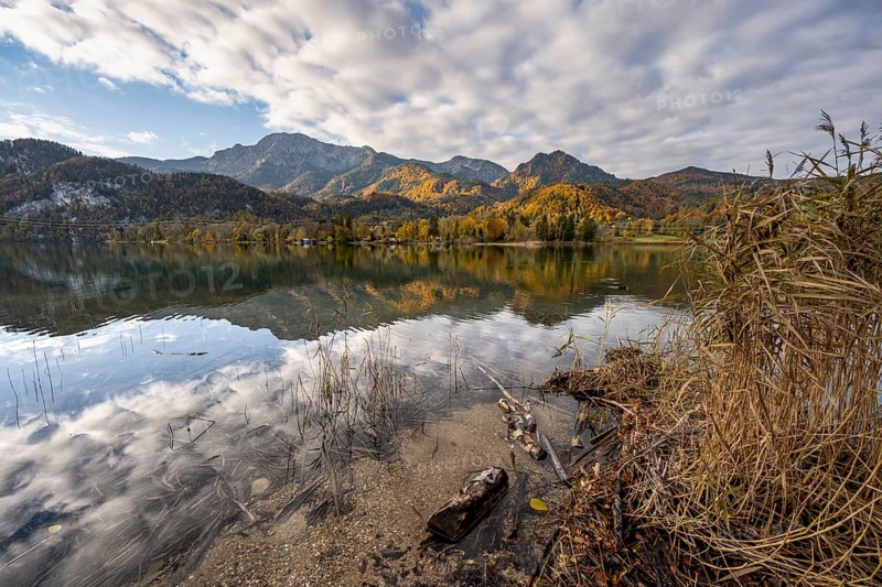 On the shore of Lake Lake Kochel with reflection, autumn landscape with mountain peaks Herzogstand and Heimgarten, Upper Bavaria, Bavaria, Germany, Europe