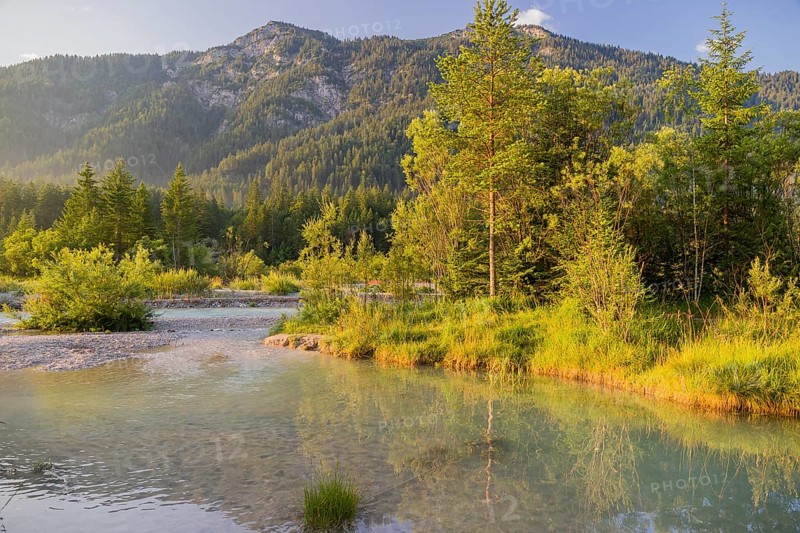 Isar valley nature conservancy area. The wild Isar river flows through its gravel bed past driftwood and entrained trees and bushes . Early morning