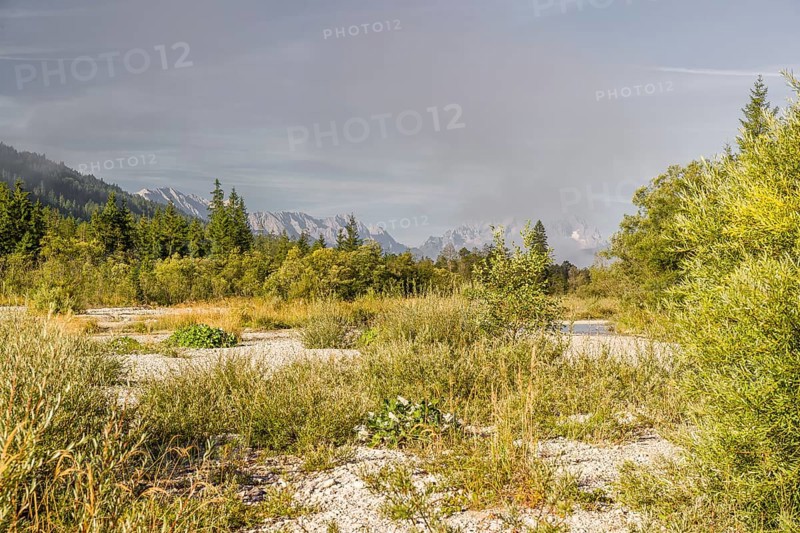 Isar valley nature conservancy area on an early sunny morning. The wild Isar river flows through its gravel bed past driftwood and entrained trees and bushes