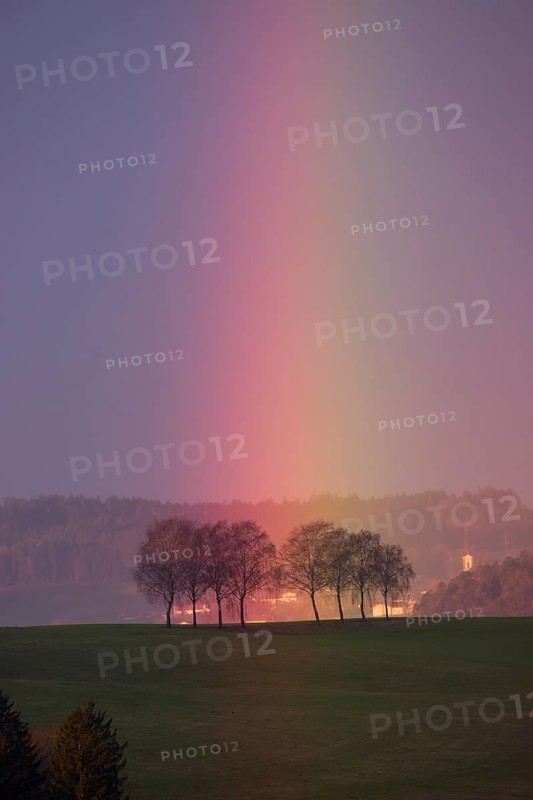 Rainbow touches a group of trees, Mühlviertel, Austria, Europe