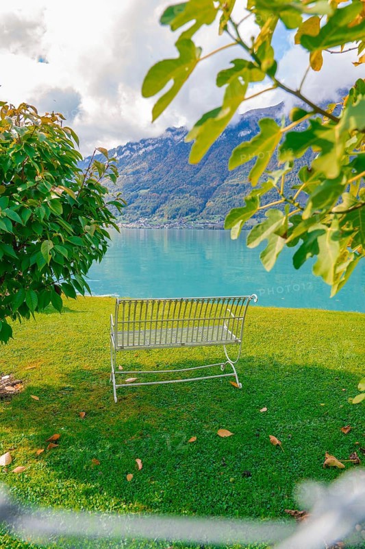 Lonely bench with a view of a lake and mountains, surrounded by autumn trees, Lake Brienz, Switzerland, Europe