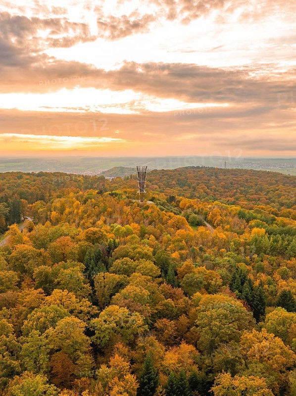 The observation tower towers above an autumn-coloured forest in the warm light of the sunset, Schönbuchturm, Herrenberg, Germany, Europe