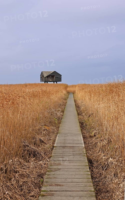 Footbridge, Dollart, Kiekkaaste observation point, Nieuwe Statenzijl, Netherlands