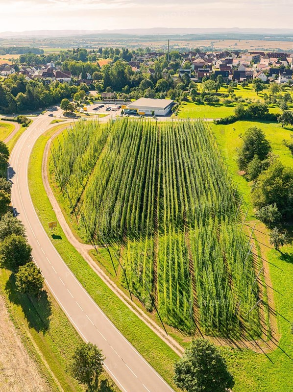 Aerial view of an agricultural field on the outskirts of a town, surrounded by roads and green spaces, Hopfengarten, Hochdorf, Black Forest, Germany, Europe