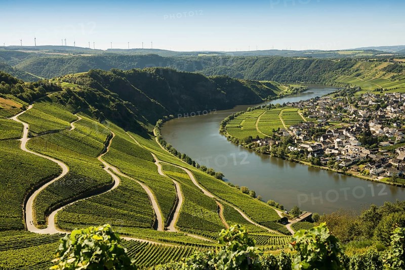 Picturesque village by the river and in the vineyards, Piesport, Moselle, Rhineland-Palatinate, Germany, Europe