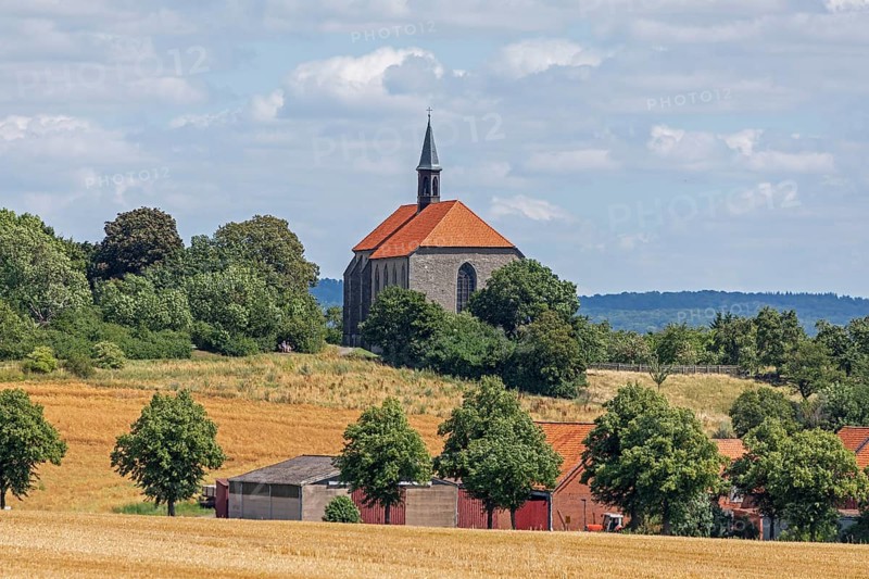 Former monastery church, church, houses, Wittenburg, Elze, Lower Saxony, Germany, Europe