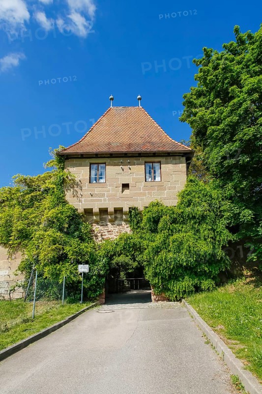 Hohenbeilstein Castle, hilltop castle, Beilstein, Heilbronn district, Baden-Württemberg, Germany, Europe