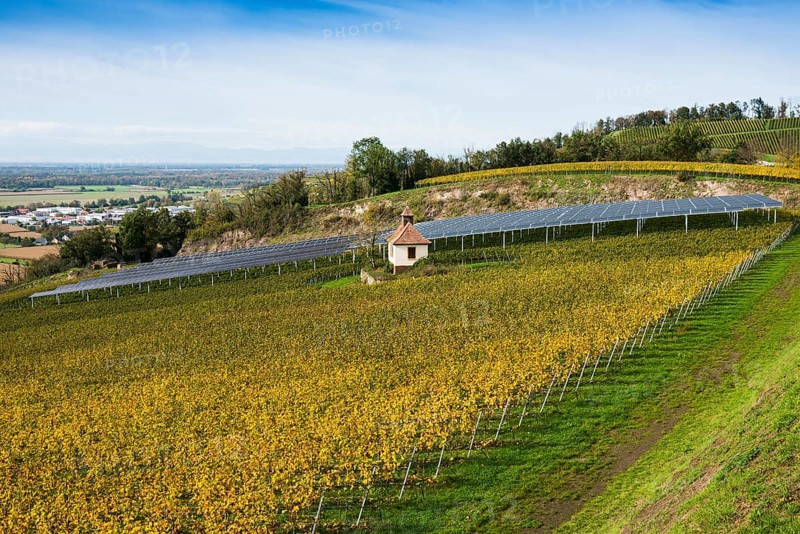 Solar plant in the vineyard, solar cells, solar modules, solar power plant, photovoltaic plant, Blankenhornsberg, near Ihringen, Kaiserstuhl, Baden-Württemberg, Germany, Europe