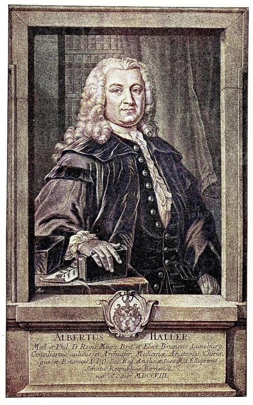 Albrecht Viktor Haller, from 1749 von Haller, Albert von Haller or Albert de Halle, 16 October 1708, 12 December 1777, was a Swiss physician, doctor and naturalist, botanist, poet and scientific journalist in the Age of Enlightenment, digital reproduction of an original from the 19th century