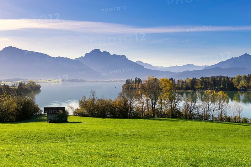Picturesque landscape with sweeping views of mountains and lake under a blue sky, wooden hut, Forggensee, Ostallgäu, Allgäu, Bavaria, Germany, Europe
