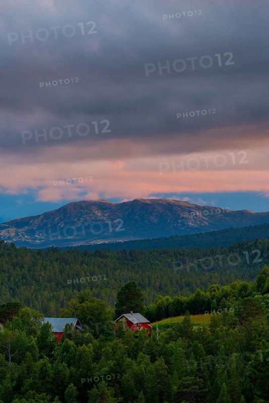 View of Dovrefjell, mountain, landscape photo, portrait format, fir forest, red wooden house, summer, evening light, Savalen Hesetesnter, Tynst, Innlandet, Norway, Europe
