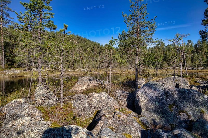 Small spur of Lake Inari, Lapland, Finland, Europe