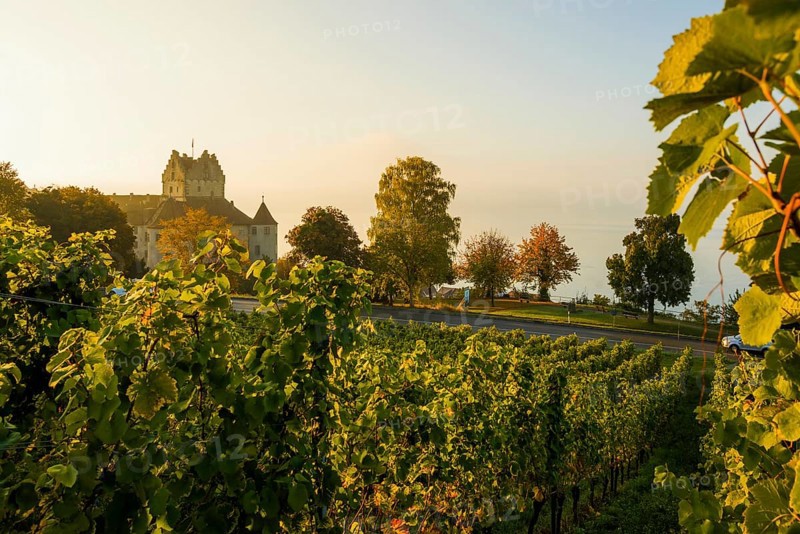 Meersburg Castle, Old Castle, Sunrise, Meersburg, Lake Constance, Baden-Württemberg, Germany, Europe