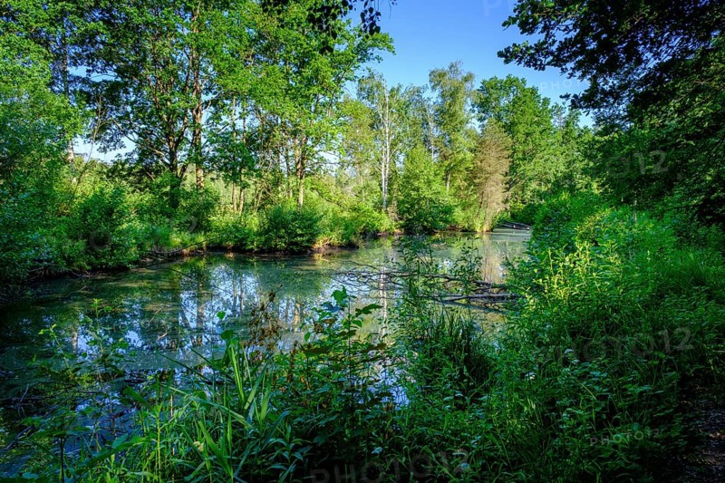 Moor adventure trail, nature conservation centre, Pfrunger-Burgweiler Ried nature reserve, Wilhelmsdorf, Linzgau, Baden-Württemberg, Germany, Europe