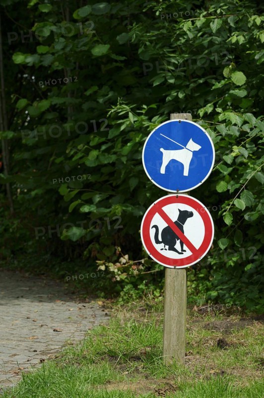 Signs 'Dog excrement prohibited' and 'Dogs on a lead' in a park, North Rhine-Westphalia, Germany, Europe