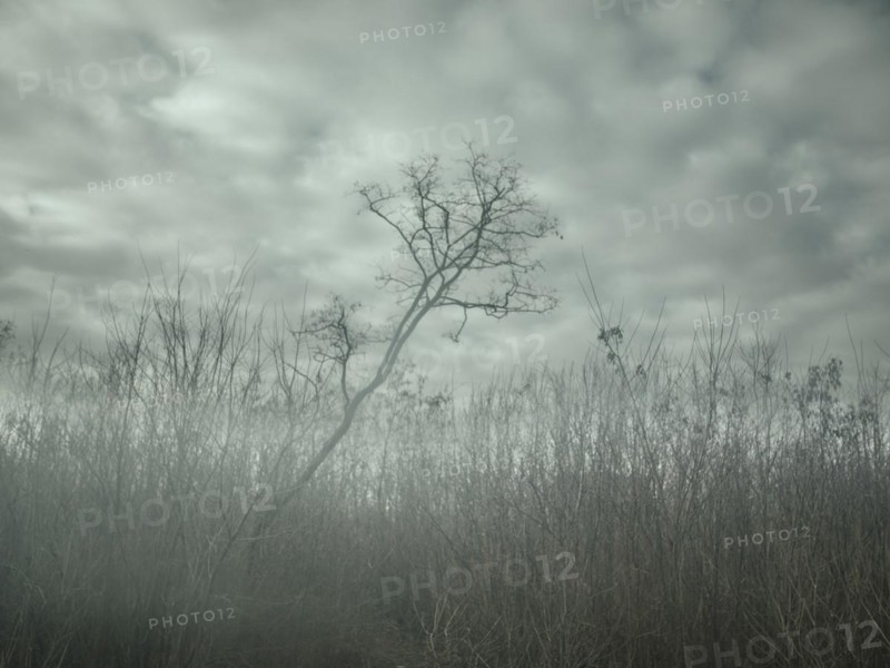 Landscape in Voloska Balakliia. The village is close to the front line, artillery fire can be heard every day, Voloska Balakliia, Kharkiv Oblast, Ukraine, Europe
