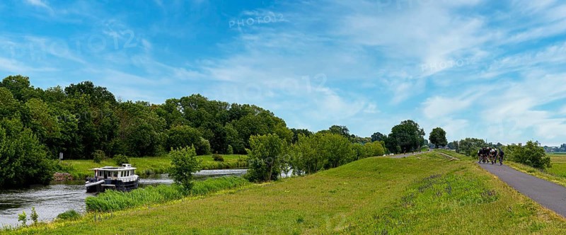River in the Lower Oder Valley National Park, Criewen, Brandenburg, Germany, Europe