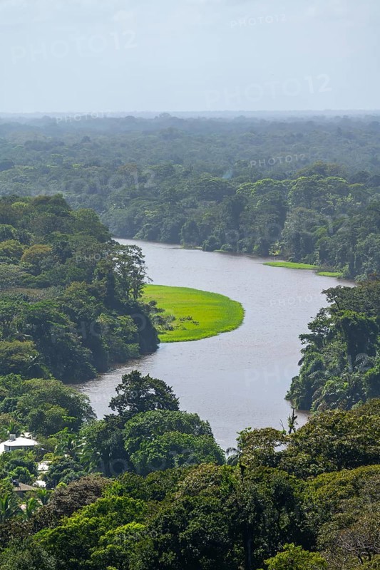 View of the river and rainforest from Cerro Tortuguero, Tortuguero National Park, Costa Rica, Central America
