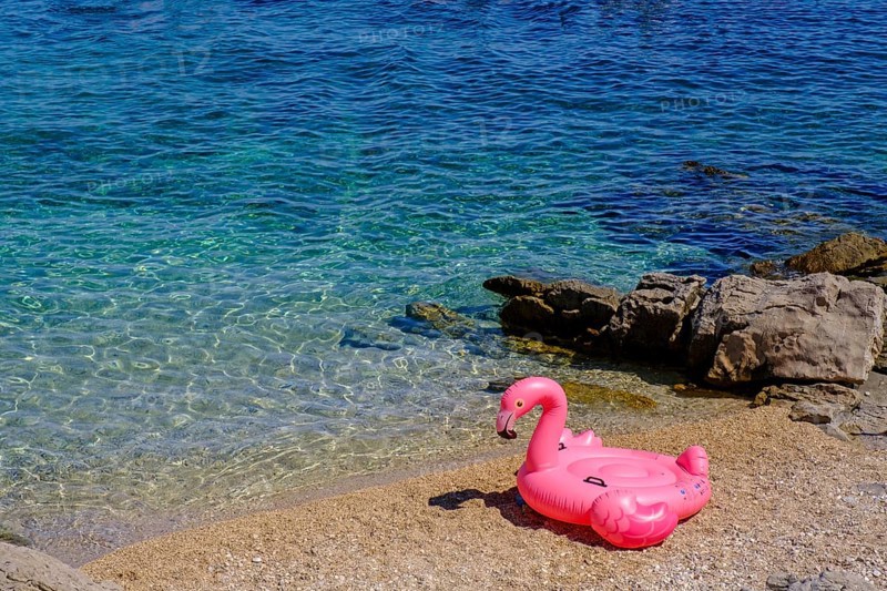 Flamingo swimming island, Uvala Privlaka beach bay, Mali Losinj, Losinj island, Kvarner Gulf Bay, Croatia, Europe