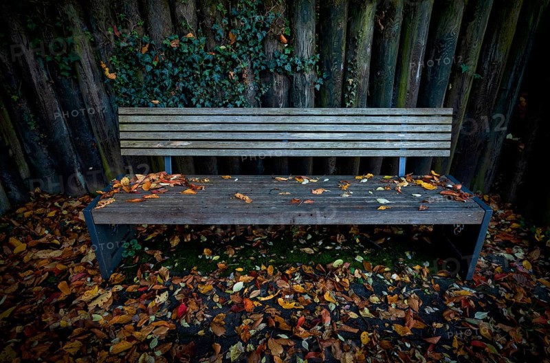 Park bench, bench, abandoned, autumn leaves, autumn colours, autumn, Kappelberg, Fellbach, Waiblingen, Baden-Württemberg, Germany, Europe
