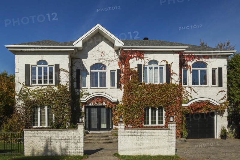 Luxurious white brick with black trim house facade covered with climbing Vitis vines in autumn, Quebec, Canada, North America