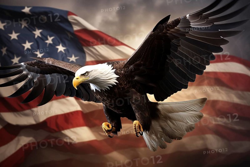 US Independence concept - the majestic American Bald Eagle with outspread wings USA National Symbol with US flag and sunset sky in background, AI generated