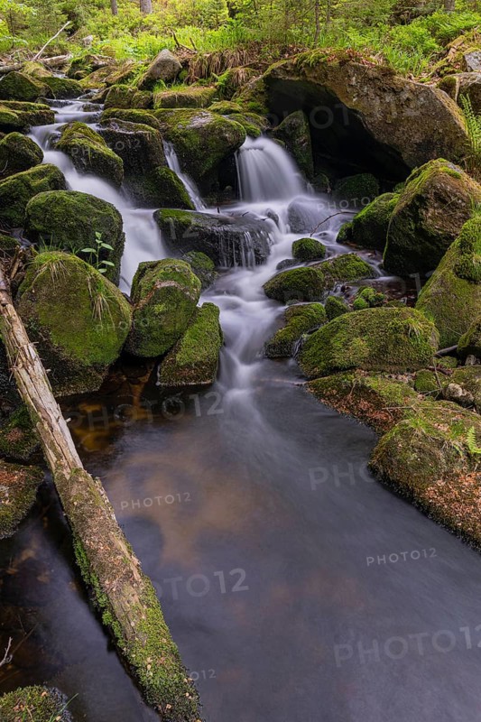 Kleine Ohe creek below Waldhaeuser village in the Bavarian Forest Nationalpark. Flowing water, little cascades, mossy stones and fresh green vegetation