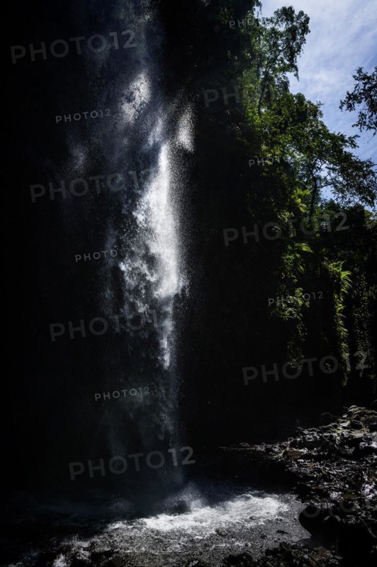 Tiu Kelep waterfall in backlight, nature, landscape, flowing, river, fresh, clear, clean, environment, rainforest, jungle, green, ecological, exotic, water, freshness, flora, botany, jungle, forest, peace, relaxation, wellness, landscape idyll, beautiful, natural spectacle, paradise, threatened, endangered, paradisiacal, hiking, trekking, tropical forest, rainy season, travel, tourism, water, tropical, tropics, Asian, natural landscape, untouched, holiday, pristine, long-distance travel, Lombok, Indonesia, Asia