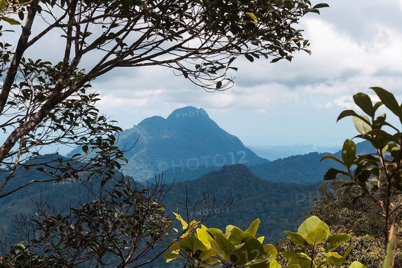 High mountain and cloudy sky in the jungle. Malaysia