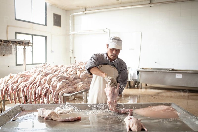 Production of salted ducks in the Nan Jing Ying Tao Yo Co. Ltd. factory, for consumption in restaurants but also for sale as durable products and as souvenirs, the frozen ducks come from the duck farms, are salted, brined, dried and scalded, Nanjing, China, Asia