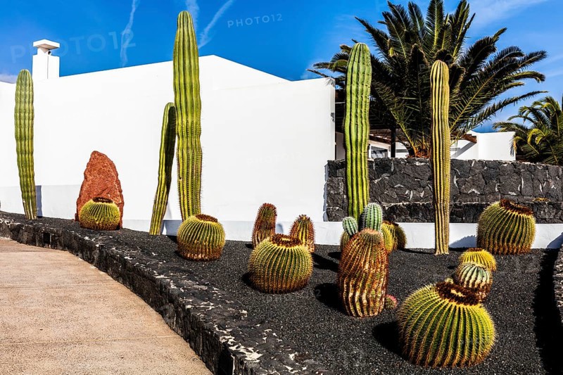 2016, Raimund Franken, Model Release:Not, Property Release: Not Lanzarote, ESP, Spain, Canary Islands, Canary Islands, Atlantic Ocean, Lanzarote, biosphere reserve, volcano, volcanism, volcanic island, island, recording date, Europe