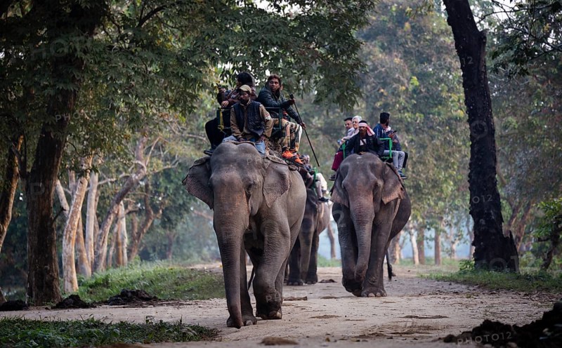 Tourists ride elephants during a safari at Kaziranga National Park on December 5, 2024 in Kaziranga, India. Kaziranga National Park, in Assam is a UNESCO World Heritage Site renowned for its biodiversity