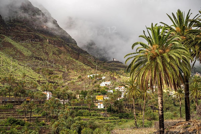 Cultural landscape with palm trees in Valle Gran Rey, La Gomera, Canary Islands, Spain, Europe