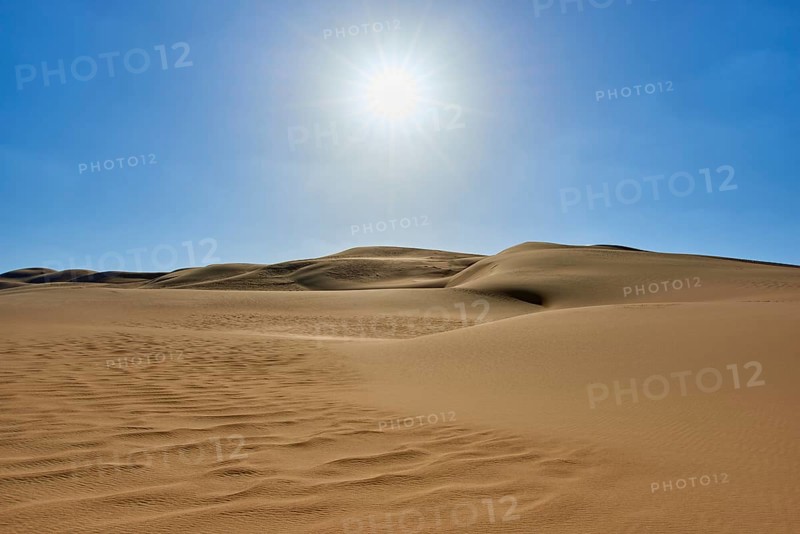 Sunny desert landscape with sand dunes under a clear blue sky, Matruh, Great Sand Sea, Libyan Desert, Sahara, Egypt, North Africa, Africa