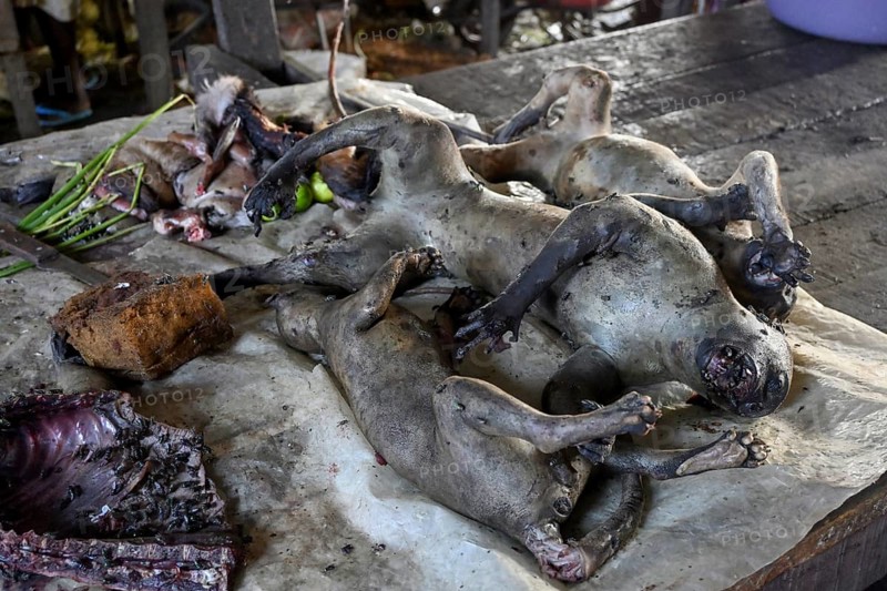 Bushmeat at a market, monkey meat, poaching, Ouésso, Sangha department, Republic of Congo