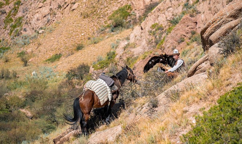 Traditional Kyrgyz eagle hunter with eagle in the mountains, hunting on horseback, near Kysyl-Suu, Kyrgyzstan, Asia