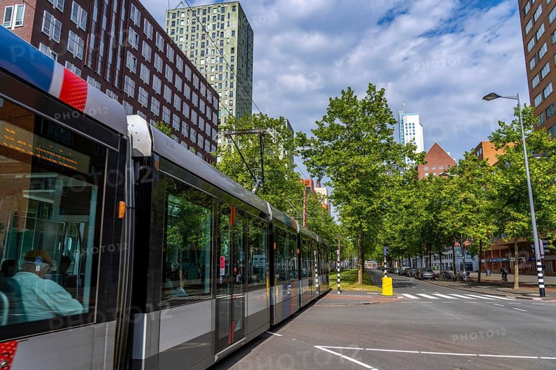 Urban greening, inner-city street Laan op Zuid, in Rotterdam's Feijenoord district, 4 lanes, 2 tram tracks, cycle paths on both sides, pavements and parking lanes, planted with hundreds of plane trees over around 1.5 km, providing shade, cooling in summer, tram tracks with grass surface, less surface sealing, urban climate, microclimate in the city, Rotterdam, Netherlands