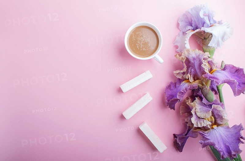 Purple iris flowers and a cup of coffee on pastel pink background. Morninig, spring, fashion composition. Flat lay, top view, copy space