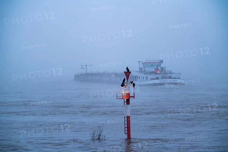 Dense fog, Rhine near Düsseldorf, cargo ship travelling south, very low visibility, navigation signs with waterfowl, North Rhine-Westphalia, Germany, Europe