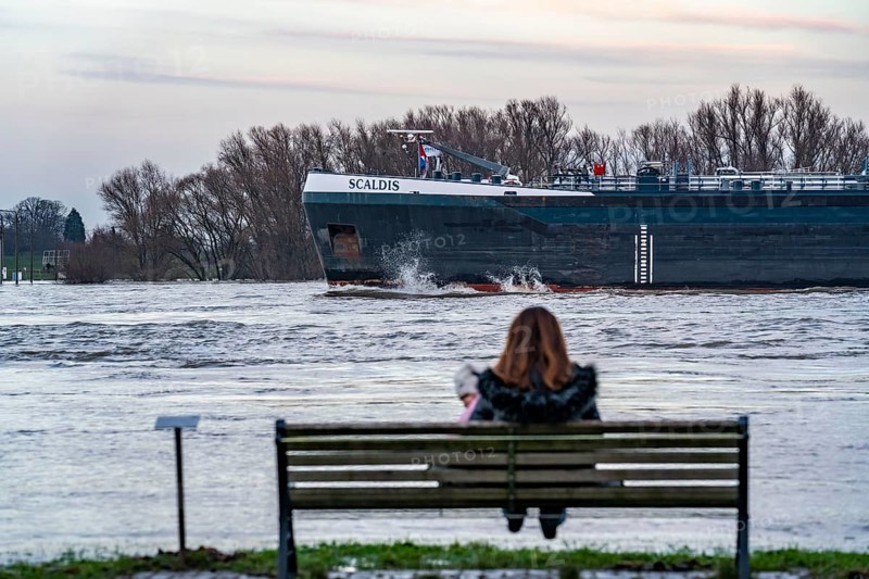 Flood on the Rhine, flooded banks of the Rhine, old ferry landing stage, Rhine meadows, near Xanten, Bislicher Insel, Lower Rhine, North Rhine-Westphalia, Germany, Europe