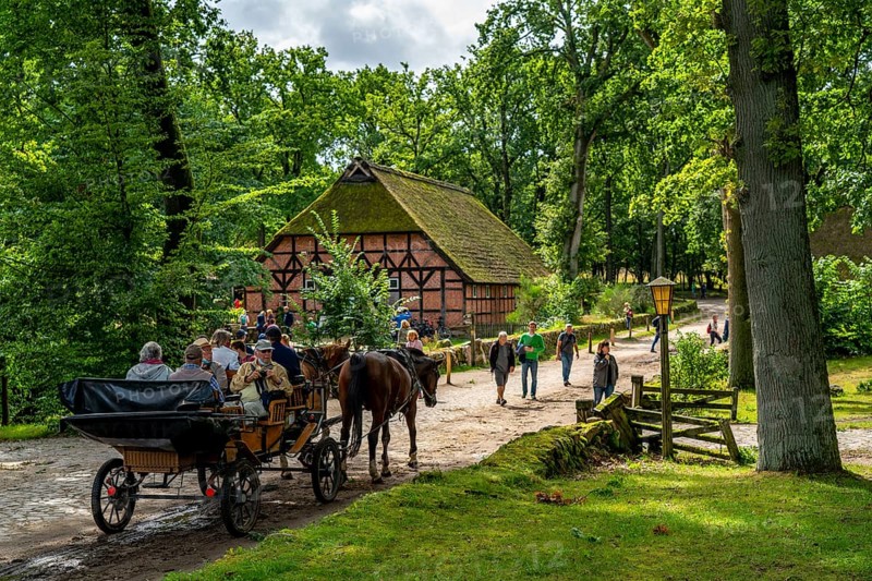 The village of Wilseder, old farms, in the Lüneburg Heath nature reserve, Lower Saxony, Germany, Europe