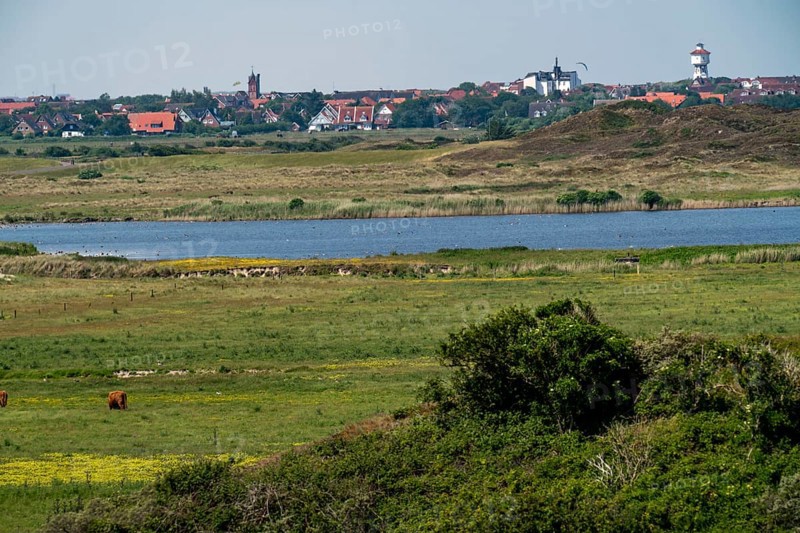 North Sea island Langeoog, early summer, dune landscape in the centre of the island, view from the Melkhörndüne, on the village Langeoog, Schloppsee, Lower Saxony, Germany, Europe