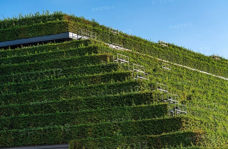 Largest green façade in Europe, on the Kö-Bogen II, building, shopping and office building on Gustav-Gründgens-Platz, 8 kilometres of hornbeam hedges were planted on the façade and roof, Düsseldorf, North Rhine-Westphalia, Germany, Europe