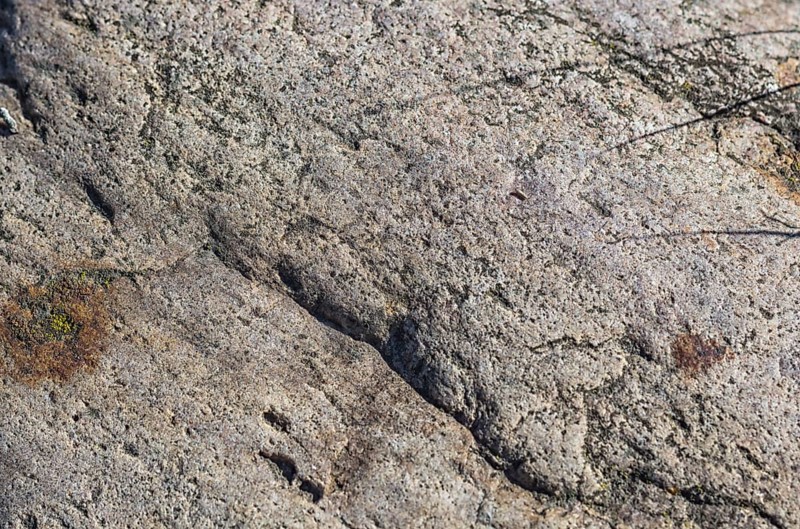 Texture of a boulder with moss and lichen