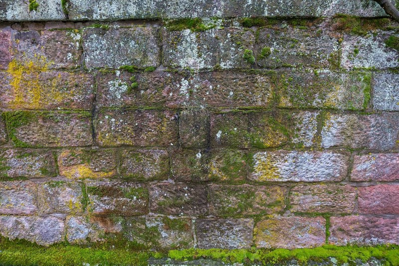Natural stone wall with mosses and lichens, Rhineland-Palatinate, Germany, Europe