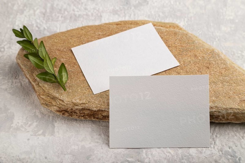 White paper business card, mockup with natural stone and boxwood branch on gray concrete background. Blank, side view, still life, copy space